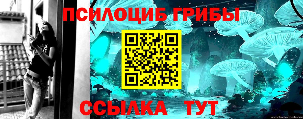 Псилоцибиновые грибы Cubensis  сколько стоит  Вязьма  Вход с VPN 